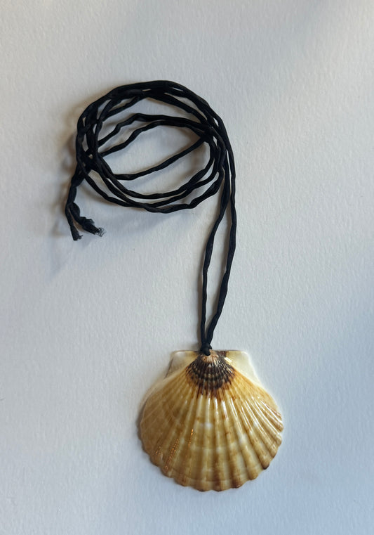 large scallop pendant